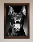Angry Doberman Dog Framed Wall Art