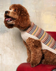 "Artesana" Handmade Alpaca Wool Dog Jumper