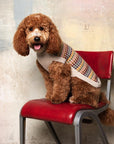 "Artesana" Handmade Alpaca Wool Dog Jumper