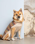 "Artesana" Handmade Alpaca Wool Dog Jumper