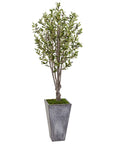 6’ Olive Tree in Stone Planter