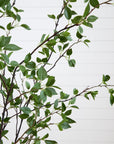 Minimalist Artificial Citrus Tree - 7'