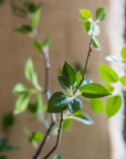 Artificial Minimalist Tree, Green Leaf Faux Tree In Pot