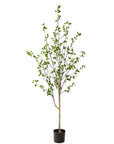 Minimalist Artificial Tree, Citrus Tree 6.5'