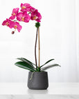 Artificial orchid plant - pink phalaenopsis orchid in black pot - 21"