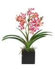 Pink Vanda Orchid Arrangement in Vase - 24"