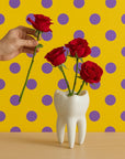 Whimsical Tooth-Shaped Vase-0