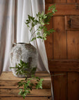 Lifelike artificial fennel stem with feathery green foliage, 76cm tall, perfect for farmhouse or Scandinavian decor. by sostter at brixbailey.com