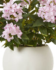 Lush Pink Hydrangea Plant in Pot