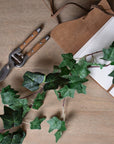 Elegant Ivy Leaf Garland | Natural Greenery Decor