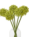 Lush Green Medium Allium Stem