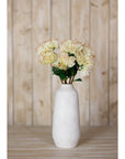 Premium Cream Protea Nitida Stem | Exotic Floral Elegance
