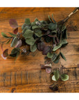 Fresh Variegated Eucalyptus Bouquet | Natural Elegance