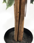 Artificial Ficus Tree Plant Variagated 110cm Tall Trees-3