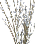Lifelike grey pussy willow branch, 40.5 tall with realistic catkins, perfect for modern or farmhouse decor. by sostter at brixbailey.com
