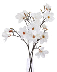 White Magnolia Stem Garden Decoration