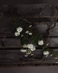 White wild meadow rose floral spray with lifelike plastic petals, perfect for minimalist home decor. by sostter at brixbailey.com