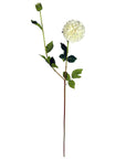 Dhalia PomPom Artificial Flowers Cream-1