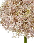 Gorgeous Lilac Giant Allium Stem | Elegant Floral Decor