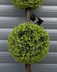 120cm Green Triple Ball Topiary Tree-2