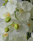 Giant White Orchid Plant Artificial 189 flowers REAL TOUCH Botanik-1