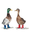Ducks in Wellies Watercolour Art Print