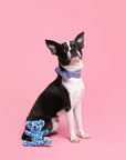 Baby Doll Cotton Rope Dog Toy