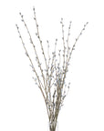 Lifelike grey pussy willow branch, 40.5 tall with realistic catkins, perfect for modern or farmhouse decor. by sostter at brixbailey.com