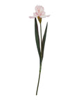 Pale Pink Fringed Iris Stem Artificial Flower