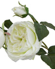 Pure White Rose Botanical Arrangement