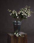 Pure White Wild Meadow Rose | Fresh & Elegant Blooms