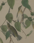 Charming Beaded Frame Warbler Art | Flora & Fauna Collection
