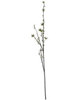 Fresh Green Berry Willow Stem | Natural Home Decor
