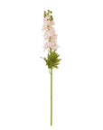 Pink Delphinium Stem for Lovely Floral Displays