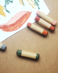Beeswax Paint Sticks | Set of 8 Sticks