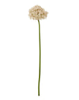 Stunning Pink Giant Allium Stem | Elegant Floral Decor