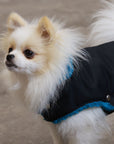 Soho Poms Black & Teal Teddy Bear Waterproof Dog Jacket