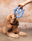 Captain's Wheel Cotton Rope Dog Toy