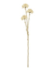 Cream Faux Allium Flower Stem