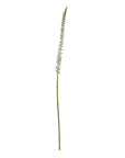 Faux White Eremurus Stem Floral Accent