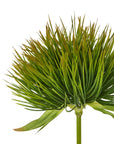 Lush Green Moss Stem | Fresh & Natural Decor