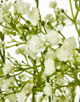 Cream Gypsophila Artificial Flower Spray
