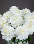 Handcrafted white artificial peony with layered petals, realistic texture, and natural tonal variations for home decor. by sostter at brixbailey.com