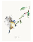 Personalised Blue Tit Garden Bird Wall print