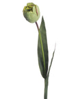 Artificial green tulip stems, 50cm tall, ultra-realistic plastic petals for year-round floral arrangements by sostter at brixbailey.com