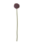 Vibrant Purple Allium Stem | Elegant Floral Decor