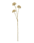 Brown Allium Faux Flower Stem