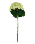 Lifelike oversized green hydrangea arrangement with hand-painted petals, perfect for year-round home decor by sostter at brixbailey.com
