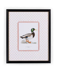 Feather and Grace Duck Print III