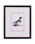 Duck IV Framed Print- The Prettiest By Far